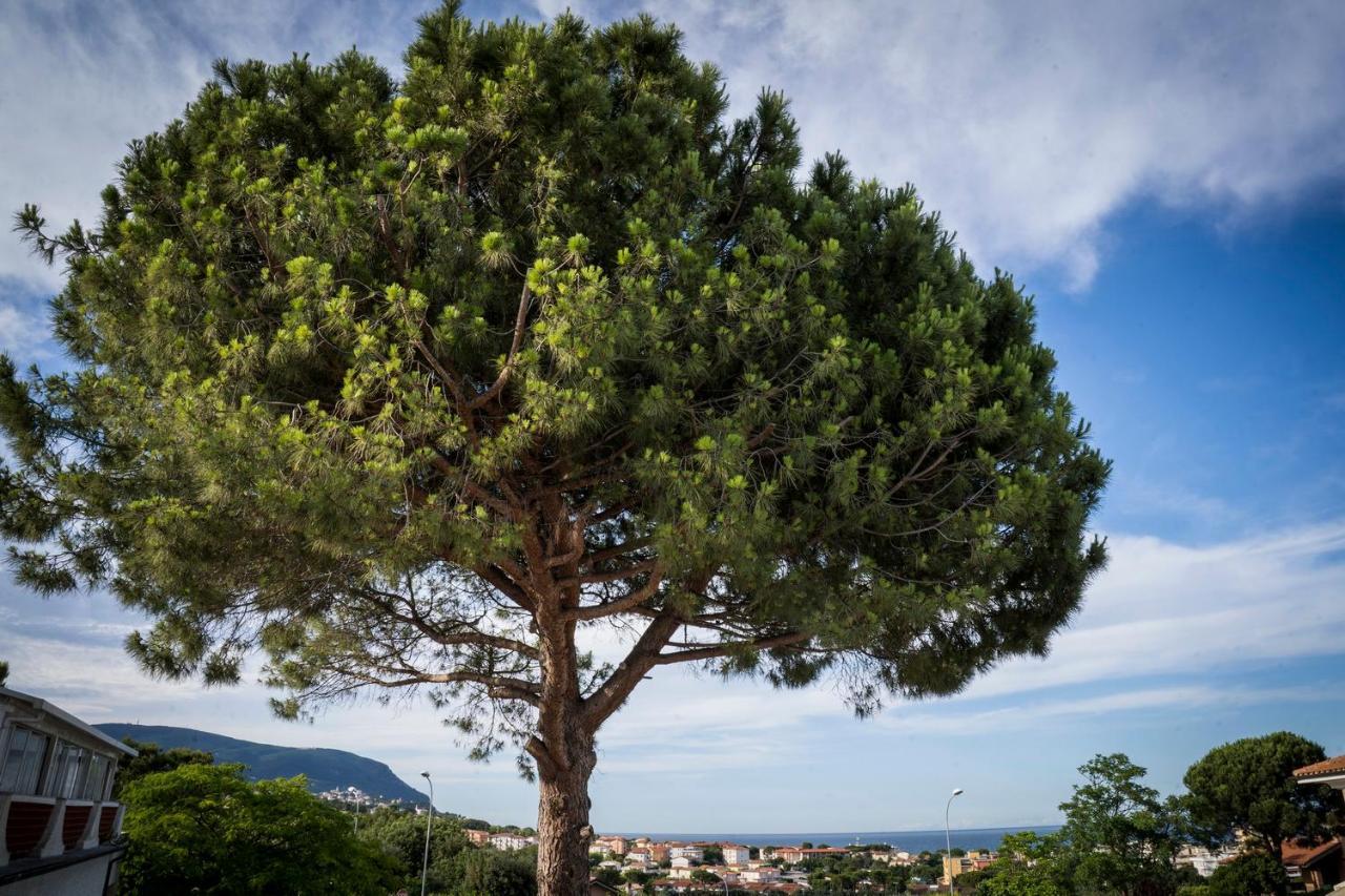 Aparthotel Balconi Del Conero Numana Exteriér fotografie